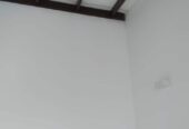 House painting service