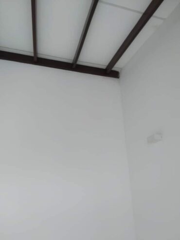 House painting service