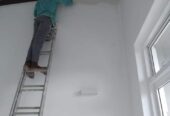 House painting service