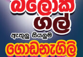 Building Material Supplier – චිප් ගල්