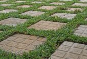 Magampura landscaping