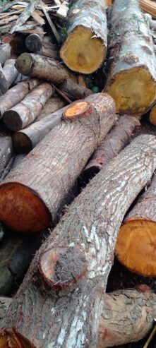 Wood Suppliers – විනොද් ලී මොල