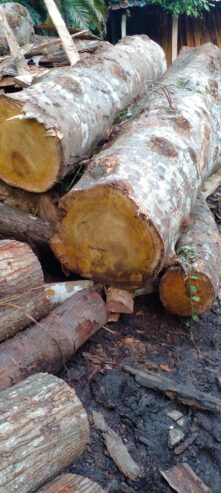 Wood Suppliers – විනොද් ලී මොල
