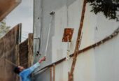 Painting – පින්තාරු කිරීම