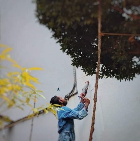 Painting – පින්තාරු කිරීම
