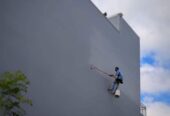 Painting – පින්තාරු කිරීම