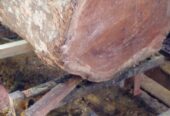 Wood Suppliers – විනොද් ලී මොල
