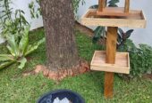 Dilki Landscaping