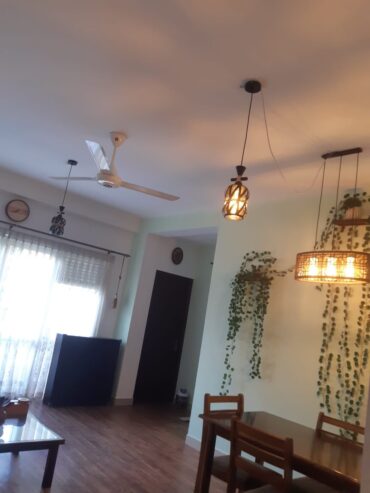 Sn T Homes Improvements