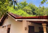 Roofing and Ceiling