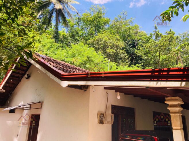 Roofing and Ceiling
