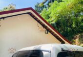 Roofing and Ceiling