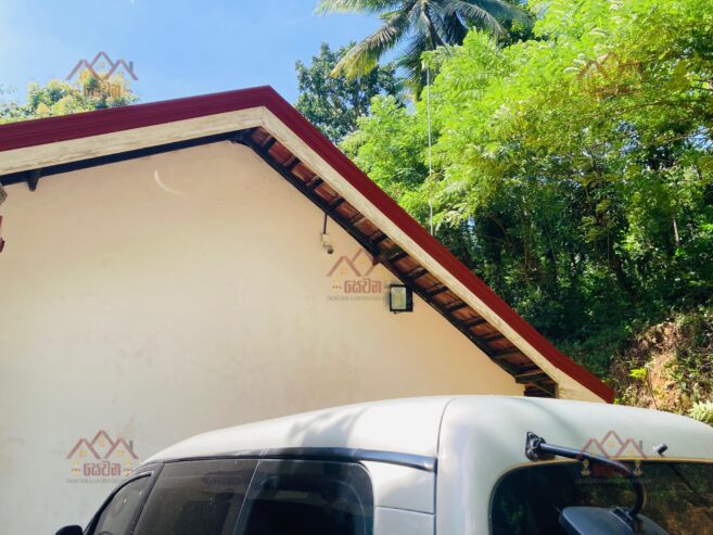 Roofing and Ceiling