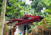 Roofing and Ceiling