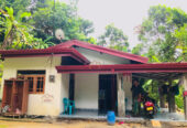 Roofing and Ceiling