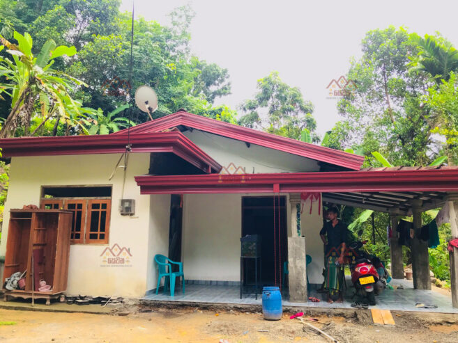 Roofing and Ceiling