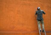 Seka Waterproofing – පින්තාරු කිරීම