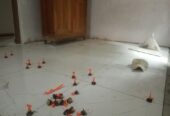 Wije Construction – කොන්ත්රාත්කරුවන්