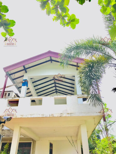 Roofing and Ceiling
