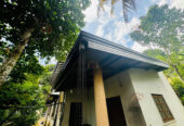 Roofing and Ceiling