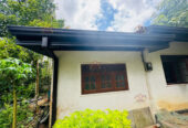 Roofing and Ceiling