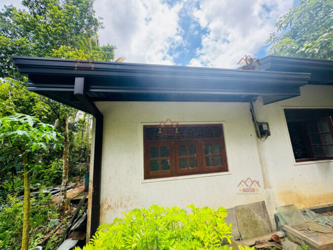 Roofing and Ceiling