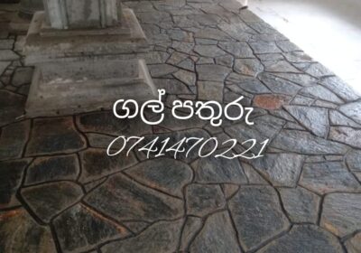 461111427_481308248218589_5424424109535143271_n