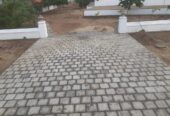 DEDUNU NATURAL STONE – ස්වාභාවික ගල් පතුරු