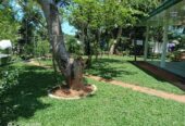 Dilki Landscaping