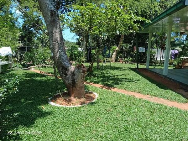 Dilki Landscaping