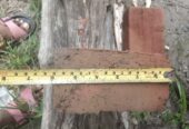 Thilakarathna Bricks – රතු ගඩොල්