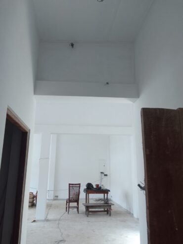 House painting service