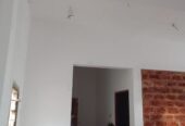 House painting service