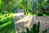 Dilki Landscaping