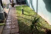Nehemi Landscaping – භූමි අලංකරණ