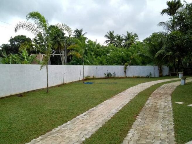 Dilki Landscaping