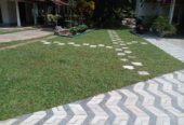 Nehemi Landscaping – භූමි අලංකරණ