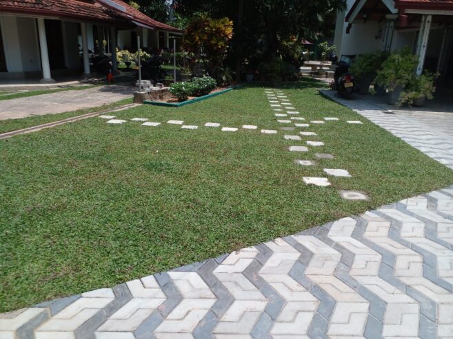 Nehemi Landscaping – භූමි අලංකරණ