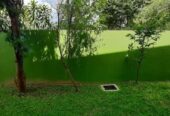 Dilki Landscaping
