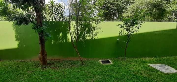 Dilki Landscaping