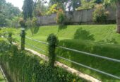 Sisira landscape Kandy
