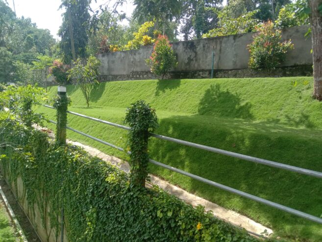 Sisira landscape Kandy
