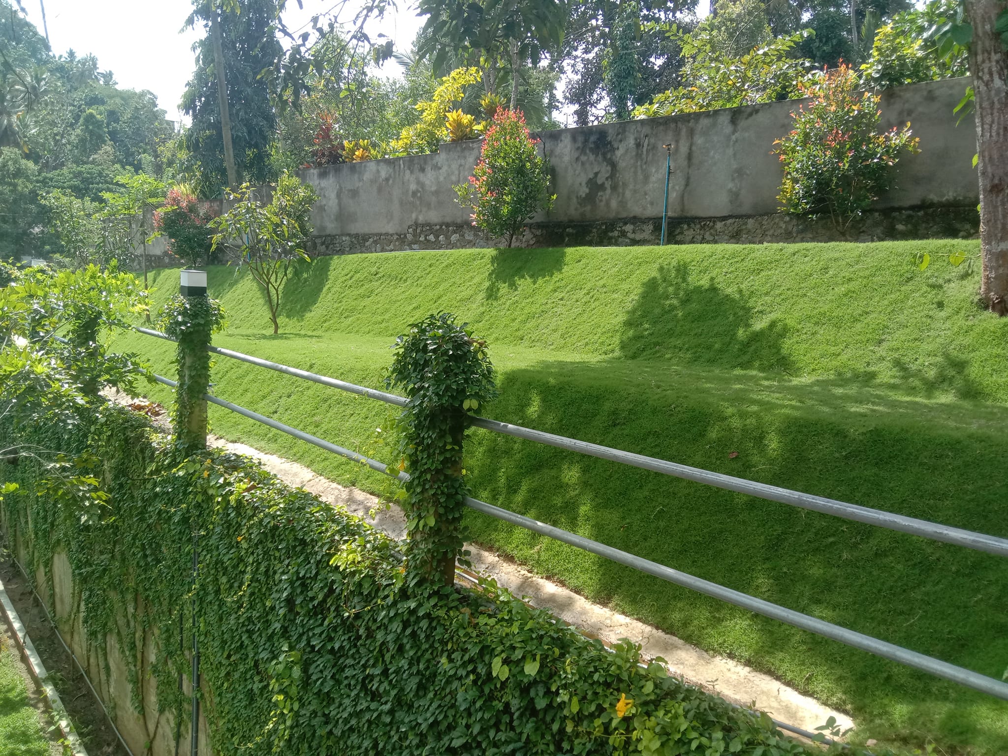 Sisira landscape Kandy
