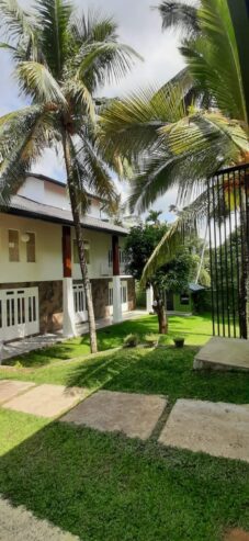 Dilki Landscaping