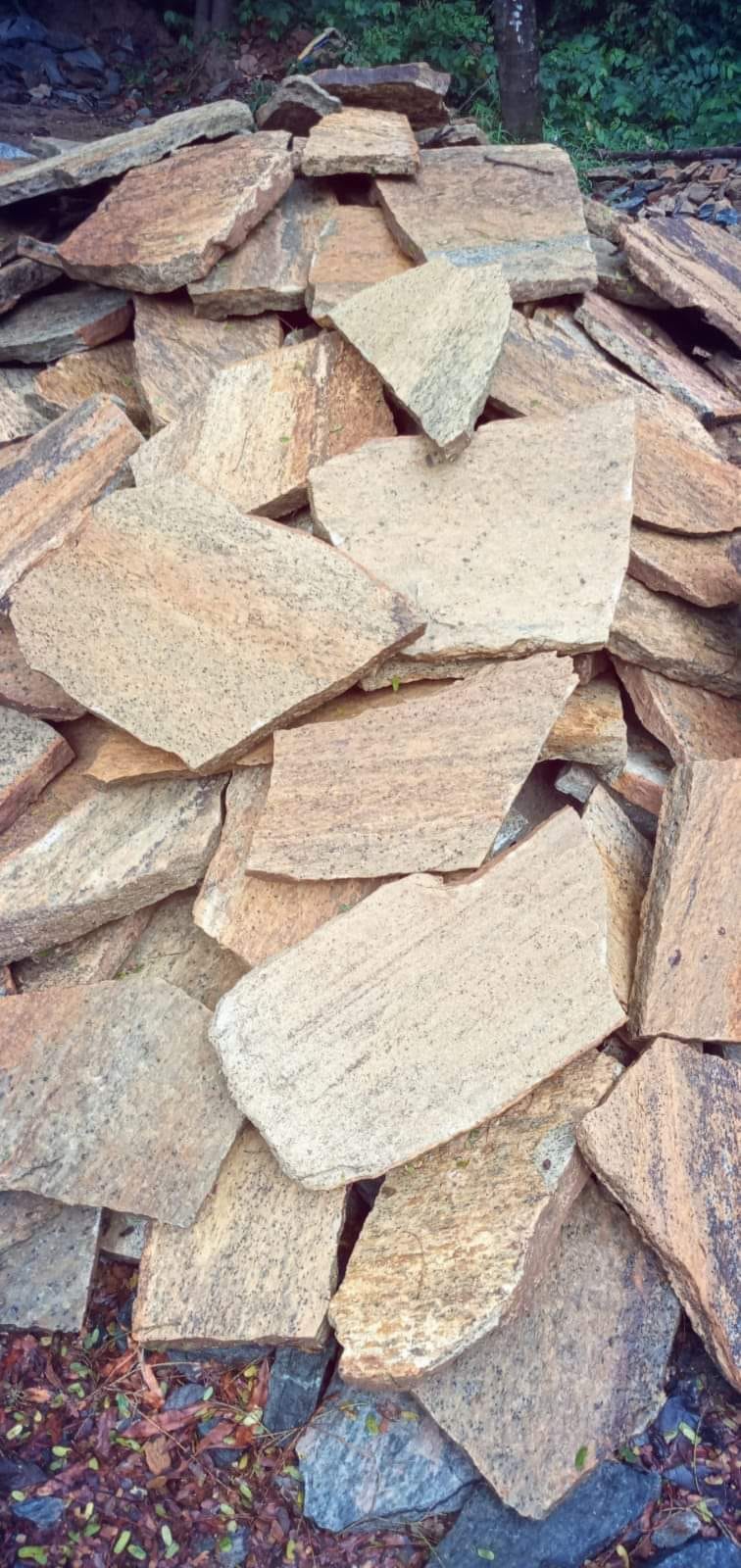 විකසිත පතුරු ගල්