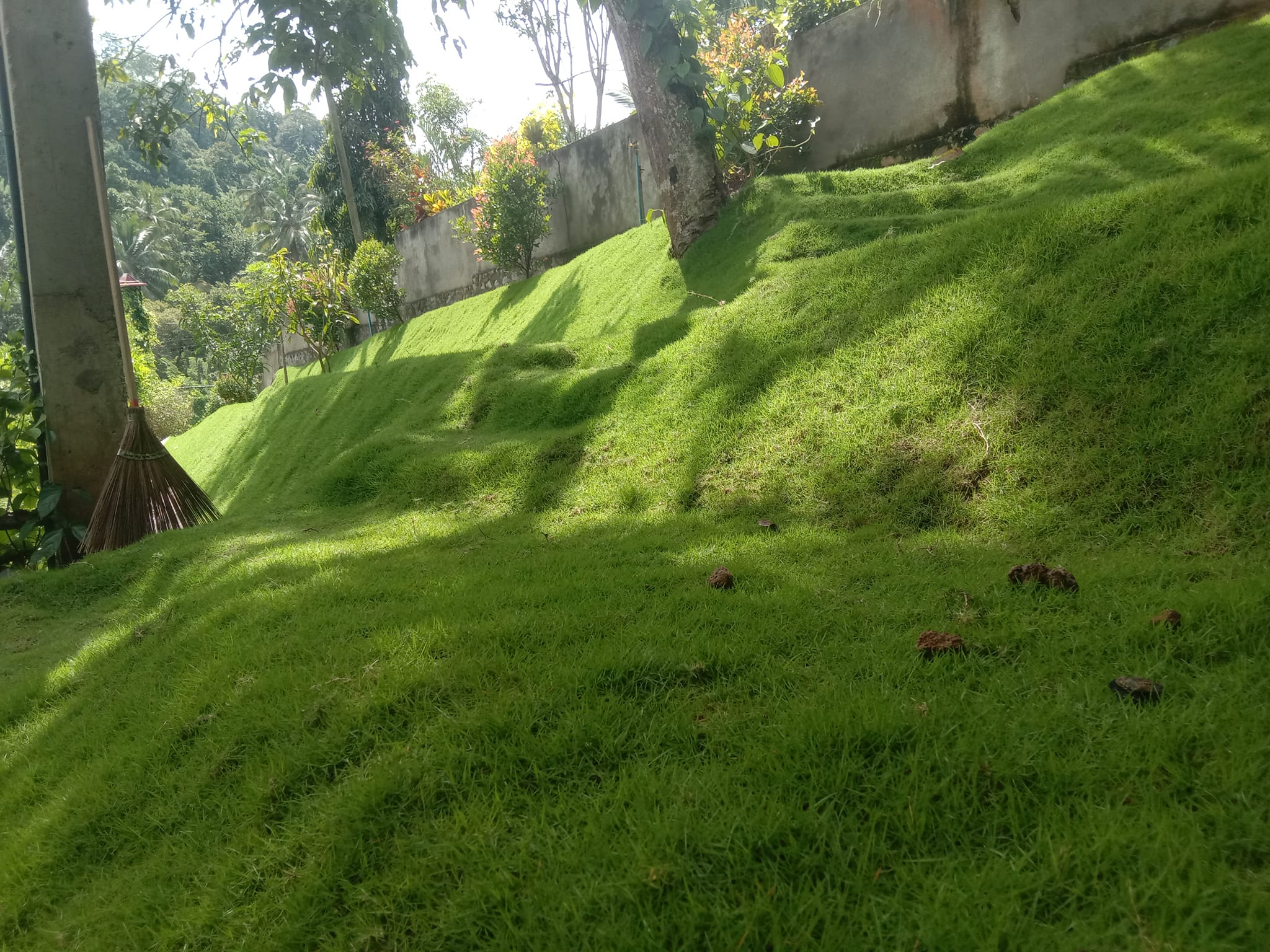 Sisira landscape Kandy