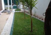 Nehemi Landscaping – භූමි අලංකරණ