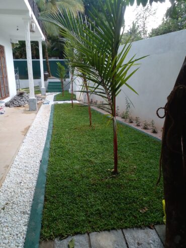 Nehemi Landscaping – භූමි අලංකරණ