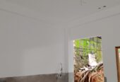 Darshana Paint working