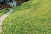 Dilki Landscaping